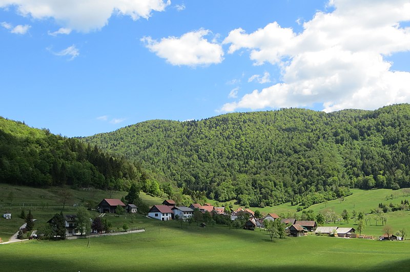 Brezovica 1”, zyrtari i Ministrisë së Ambientit dënohet pasi pranoi fajësinë