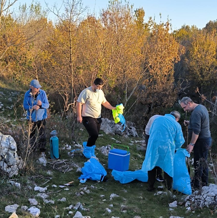 murtaja e derrave si duket ka raste ne lezhe