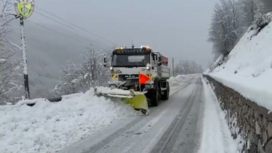 reshje bore ne veri te shqiperise