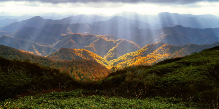 Parashikimi i motit për sot – e enjte